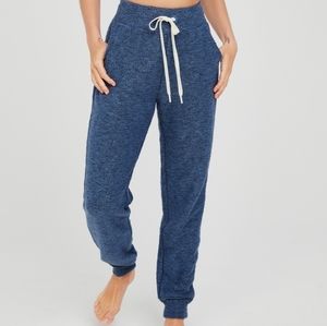 NWT OFFLINE by Aerie Snowday Jogger